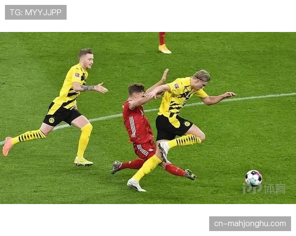 观察：德甲俱乐部在社交媒体平台的国际粉丝增长趋势